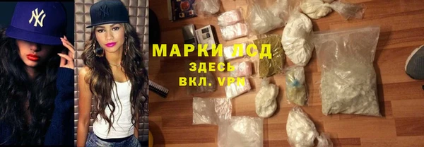 прущие грибы Богданович