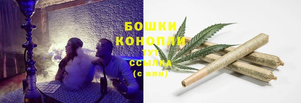 ешки Белокуриха