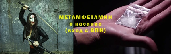 прущие грибы Богданович