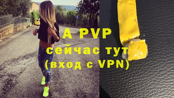 ешки Белокуриха
