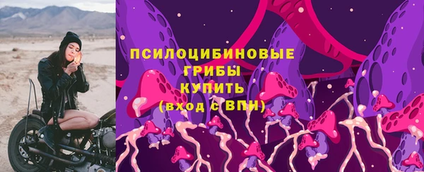 Альфа ПВП Богородск
