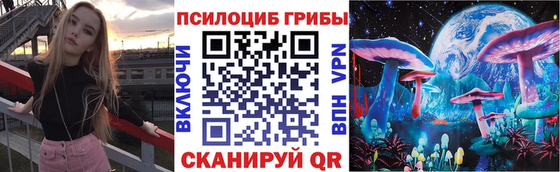 Галлюциногенные грибы MAGIC MUSHROOMS  где купить наркоту  Бокситогорск 