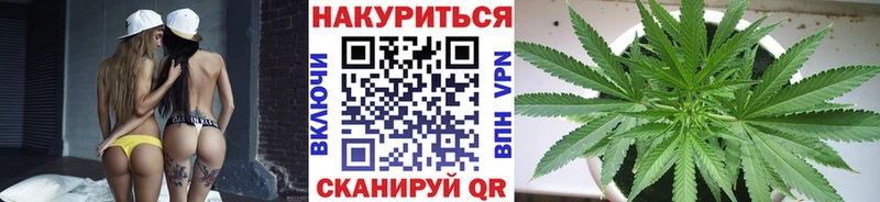 Бошки Шишки планчик  Бокситогорск 